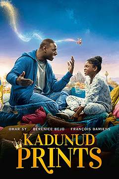 Kadunud prints
